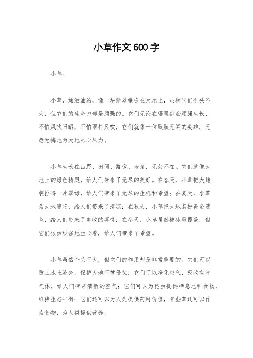 小草作文600字