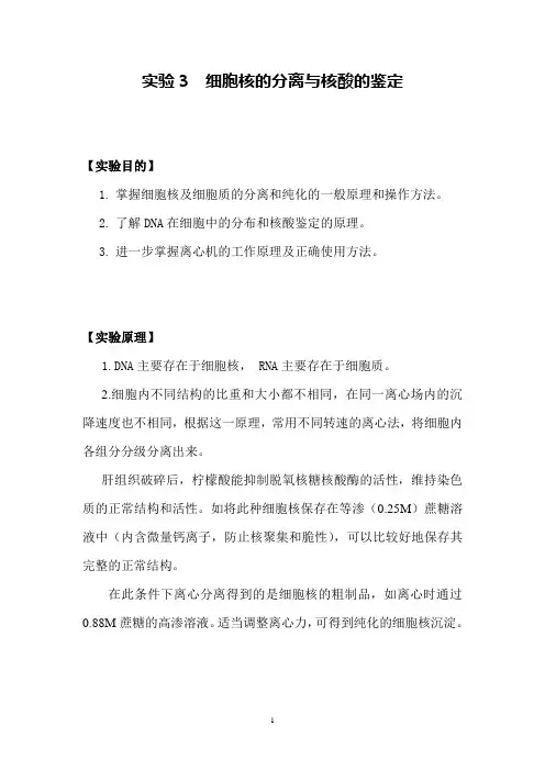 实验3  细胞核的分离与核酸的鉴定