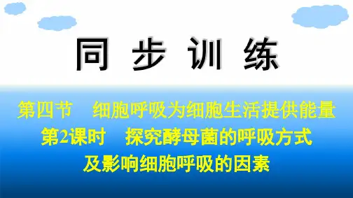 浙科版高中生物学必修1精品课件 第3章 第4节 第2课时 探究酵母菌的呼吸方式及影响细胞呼吸的因素