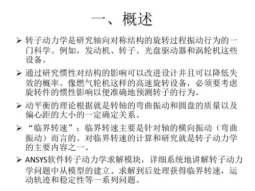 转子动力学分析ppt课件