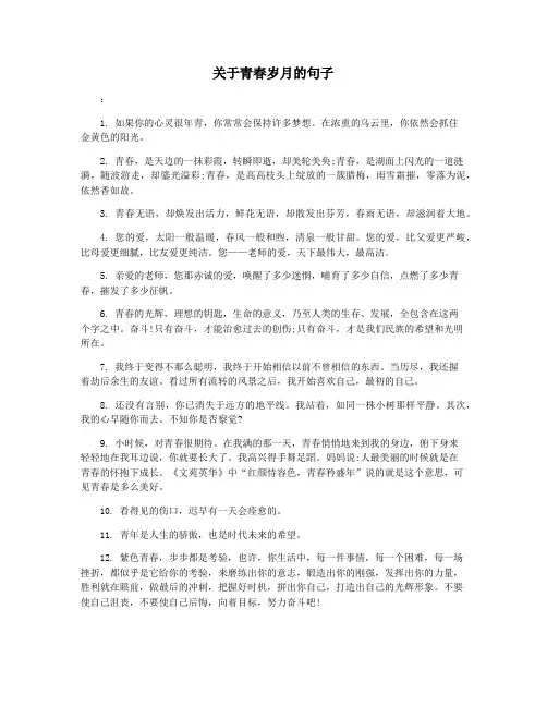 关于青春岁月的句子
