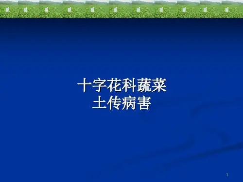 土传病害