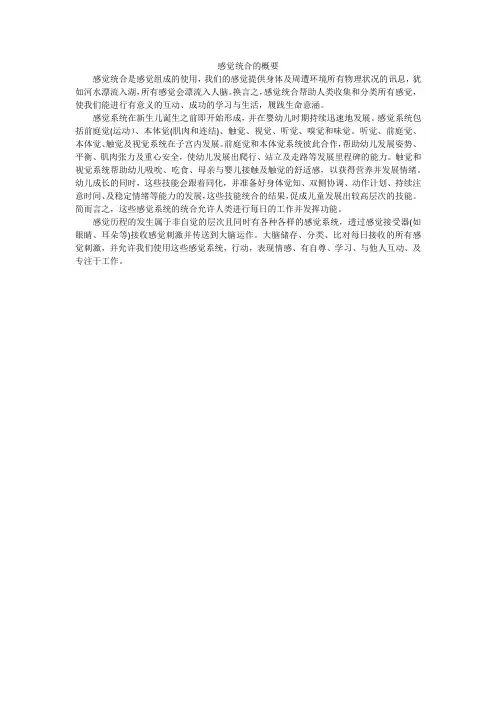 感觉统合的概要