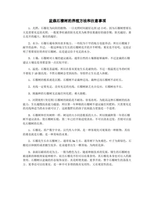 盆栽石榴树的养殖方法和注意事项