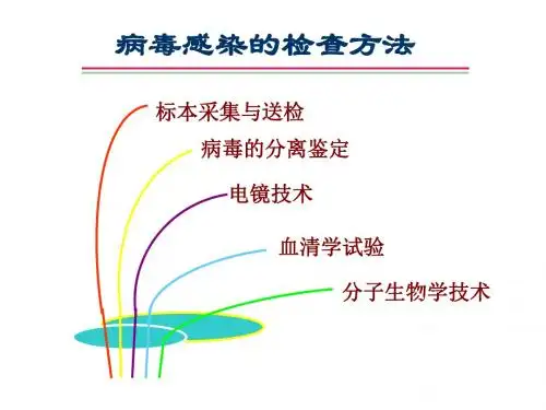 病毒感染的微生物学检查方法