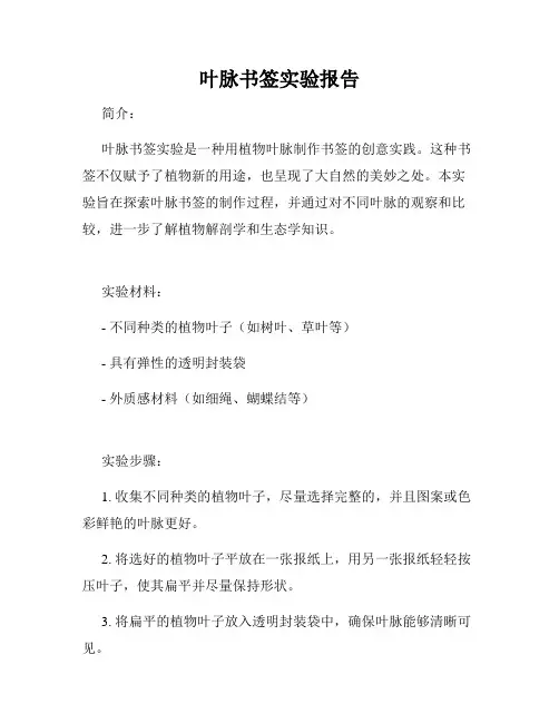 叶脉书签实验报告