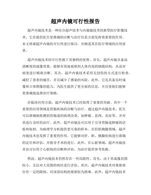 超声内镜可行性报告