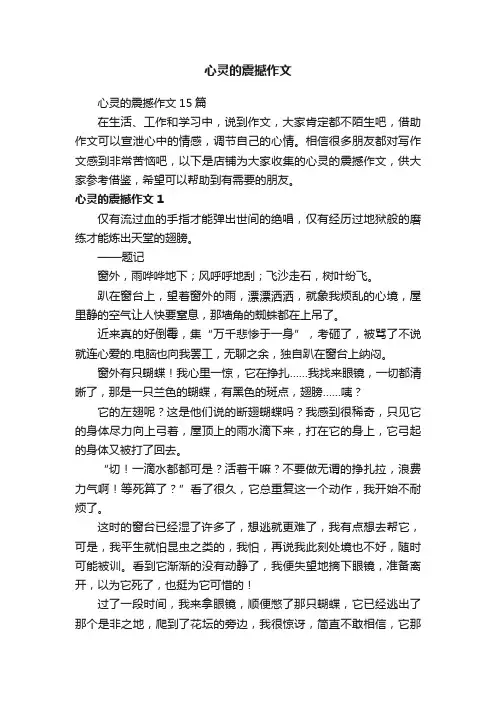 心灵的震撼作文