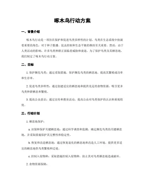 啄木鸟行动方案