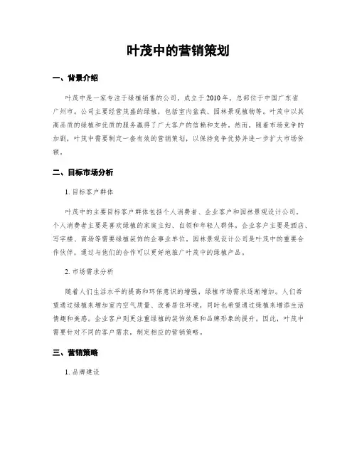 叶茂中的营销策划