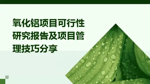 氧化铝项目可行性研究报告及项目管理技巧分享
