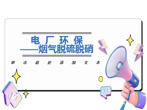 烟气脱硫脱硝课件