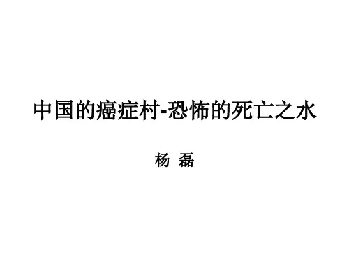 中国的癌症村