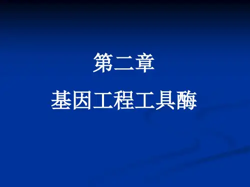 第二章基因工程工具酶