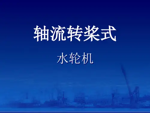 轴流转桨式水轮机  ppt课件