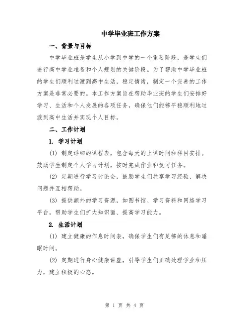 中学毕业班工作方案