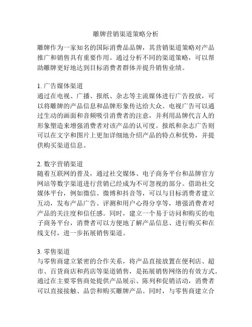 雕牌营销渠道策略分析