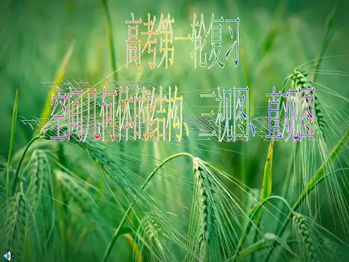 空间几何体的结构、三视图、直观图课件