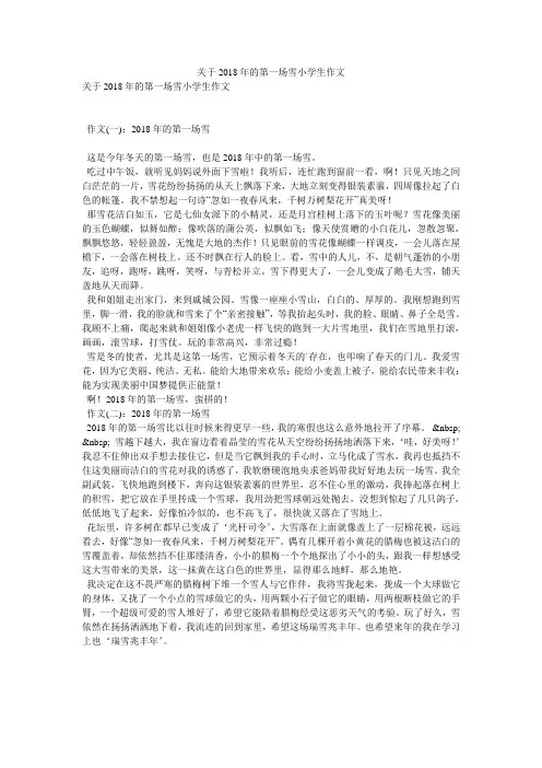 关于2018年的第一场雪小学生作文