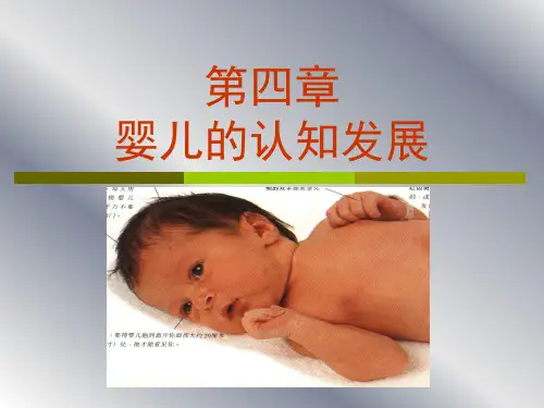 婴儿认知发展(PPT44页)