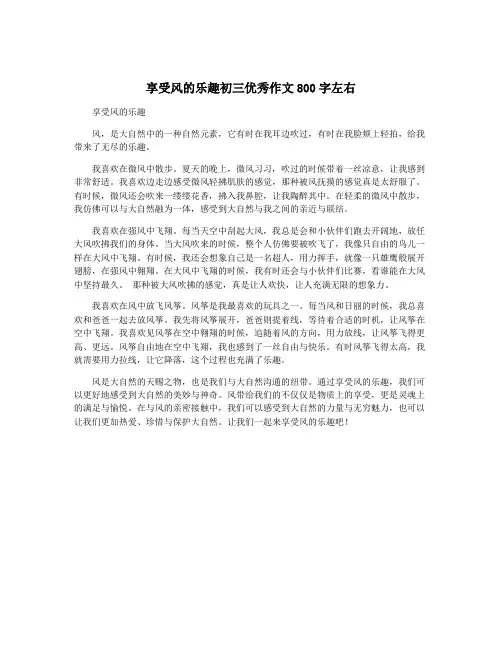 享受风的乐趣初三优秀作文800字左右