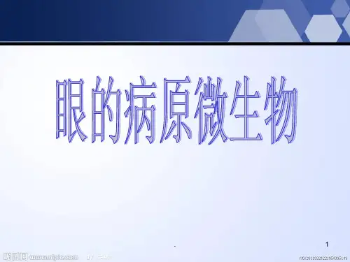 眼的病原微生物