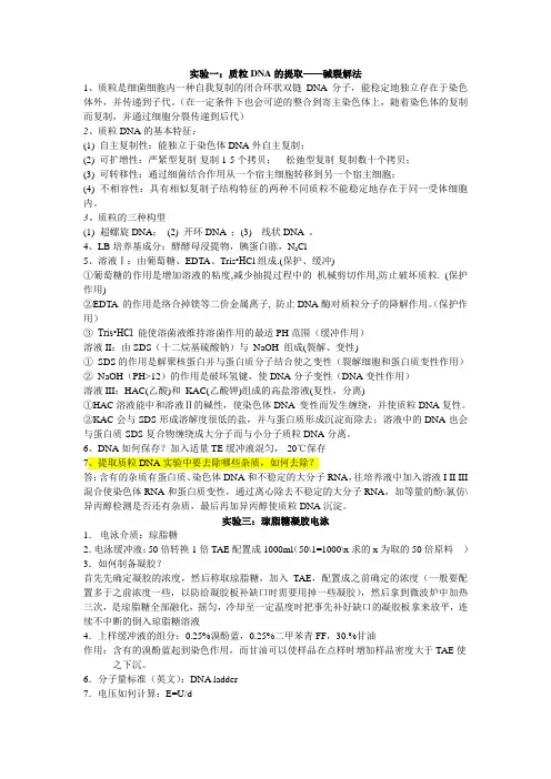 分子生物学实验