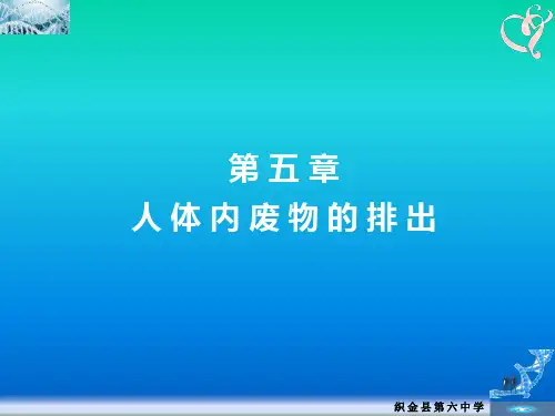 人教版七年级下册第五章 人体内废物的排出(19张ppt)