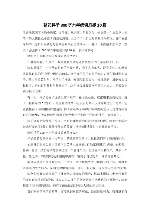 骆驼祥子300字六年级读后感10篇