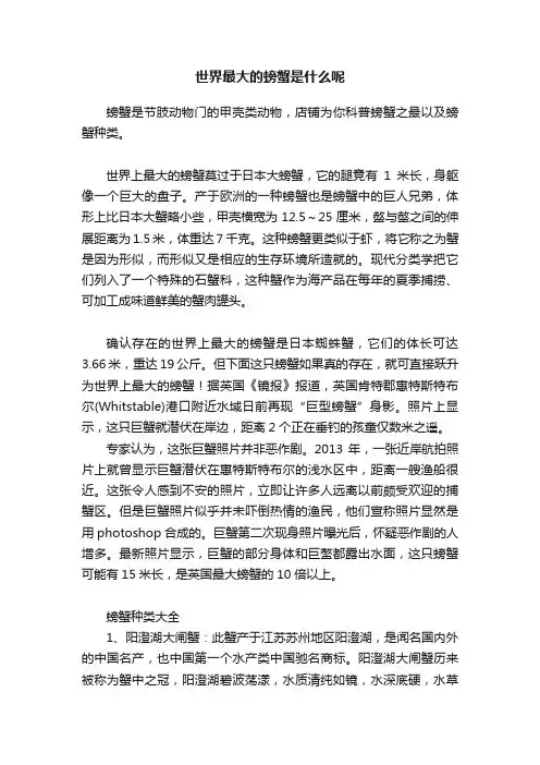 世界最大的螃蟹是什么呢