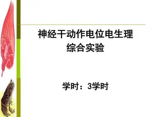 最新神经干动作电位电生理综合实验(2013-10)-药学医学精品资料