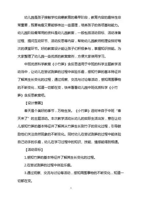 幼儿园中班优质科学教案《小竹笋》含反思word版