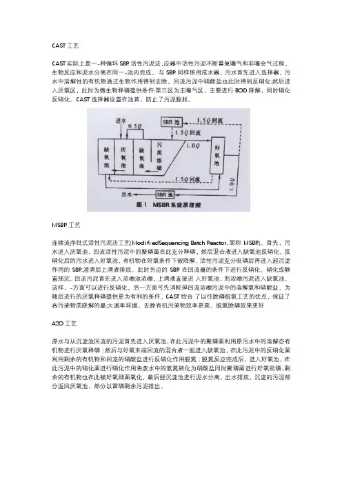 CAST工艺、MSBR工艺、A2O工艺、BAF工艺、氧化沟工艺