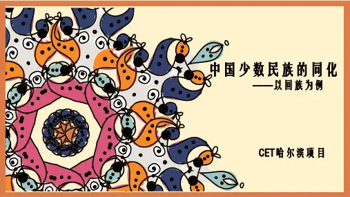 少数民族的同化——以回族为例