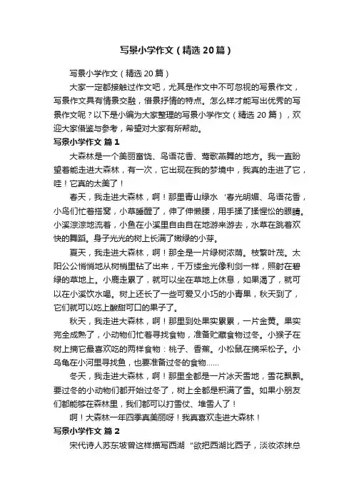 写景小学作文（精选20篇）
