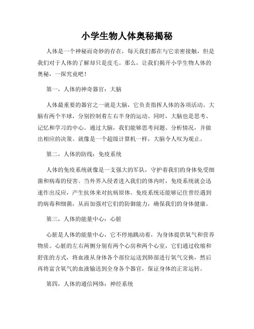 小学生物人体奥秘揭秘
