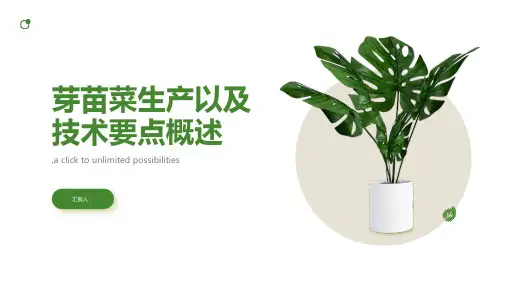 芽苗菜生产以及技术要点概述
