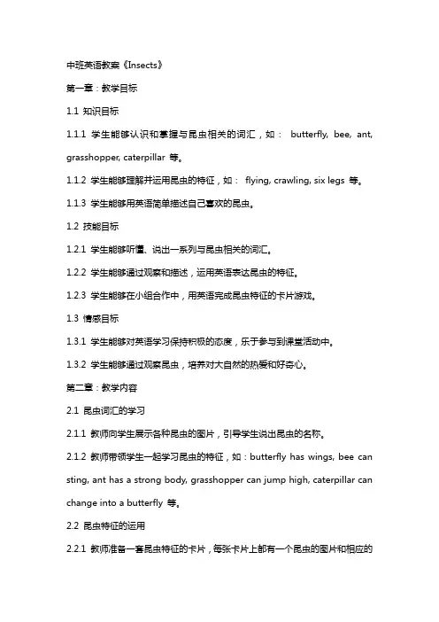 中班英语教案《Insects》