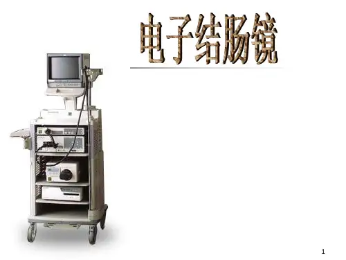 结肠镜ppt课件