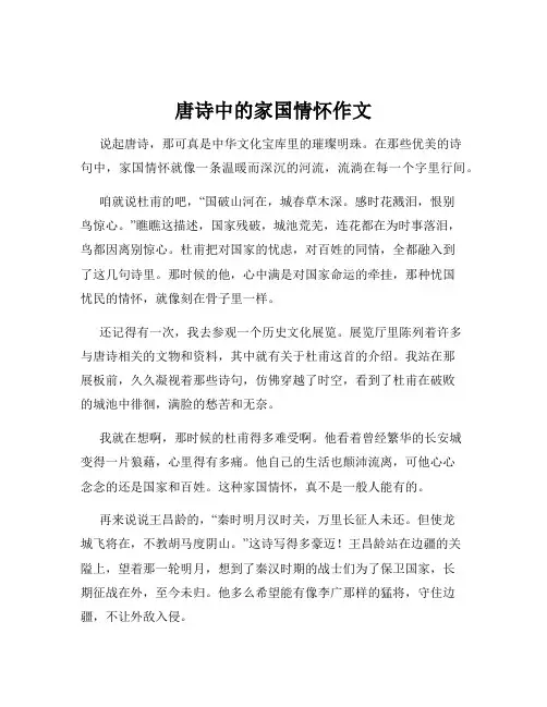 唐诗中的家国情怀作文