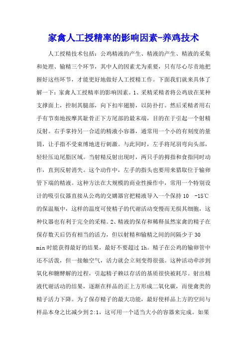 家禽人工授精率的影响因素 - 养鸡技术