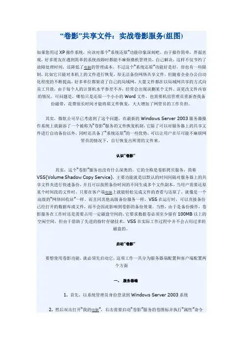 卷影共享文件：实战卷影服务(组图)