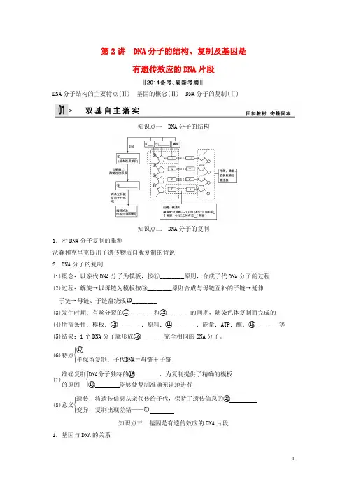 高考生物一轮复习方案 22 DNA分子的结构、复制及基因