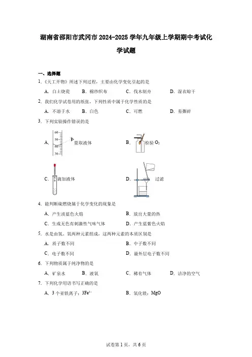 湖南省邵阳市武冈市2024-2025学年九年级上学期期中考试化学试题