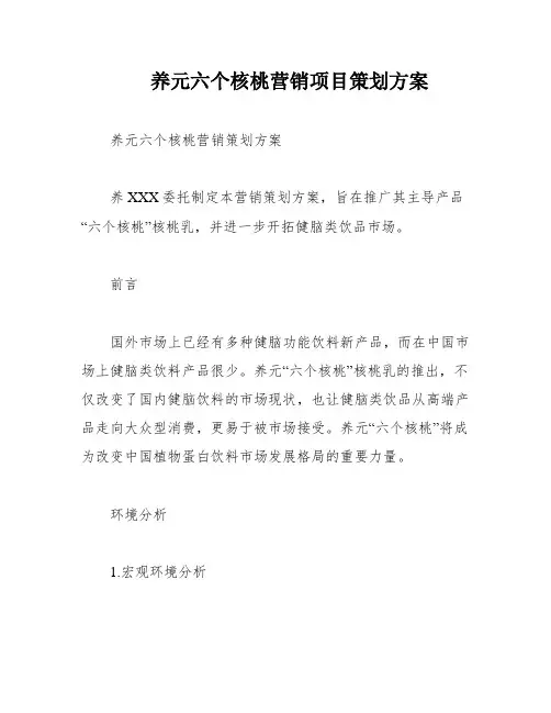 养元六个核桃营销项目策划方案