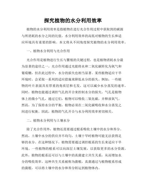 探究植物的水分利用效率