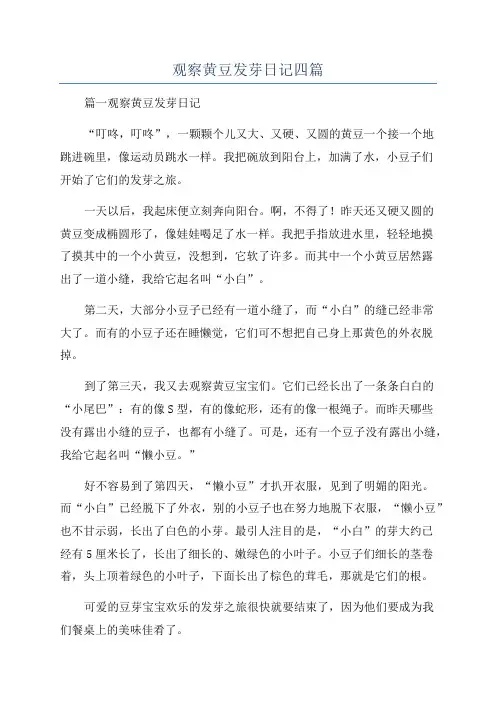 观察黄豆发芽日记四篇