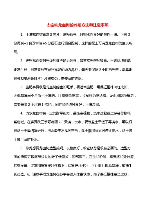 太空铁龙血树的养殖方法和注意事项