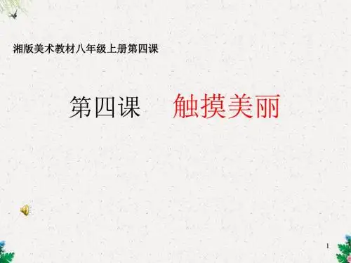 八年级语文精品课件 触摸美丽