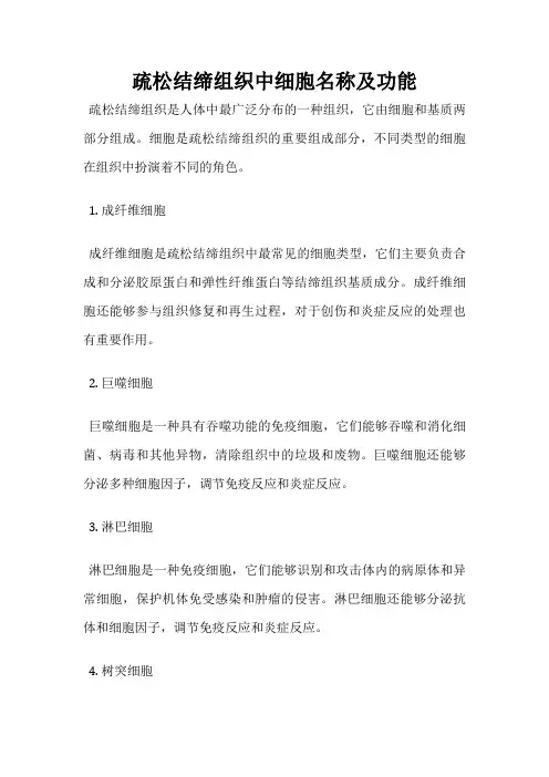 疏松结缔组织中细胞名称及功能